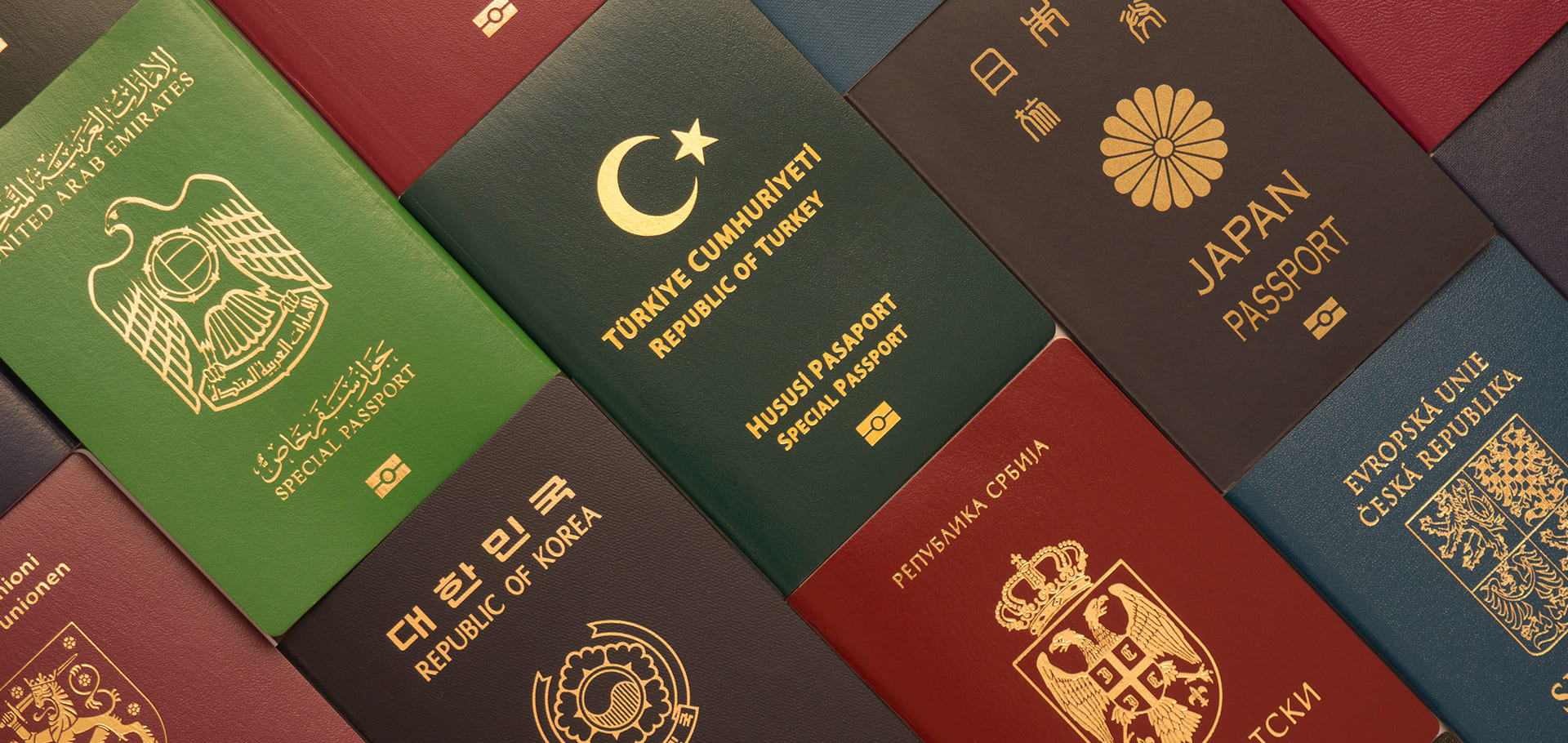 Vize ve Pasaportlar